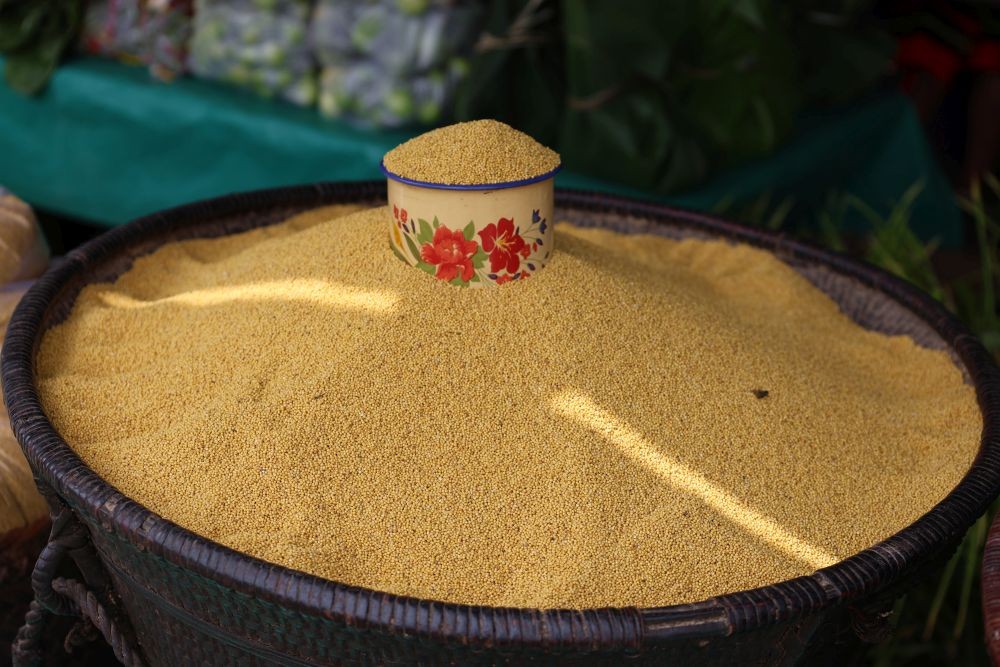 Kezoma village revives millet farming